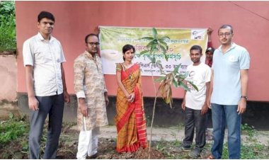 মুজিববর্ষ উপলক্ষে তথ্য ক্যাডারের ৩৩তম ব্যাচের কর্মকর্তাদের বৃক্ষরোপণ